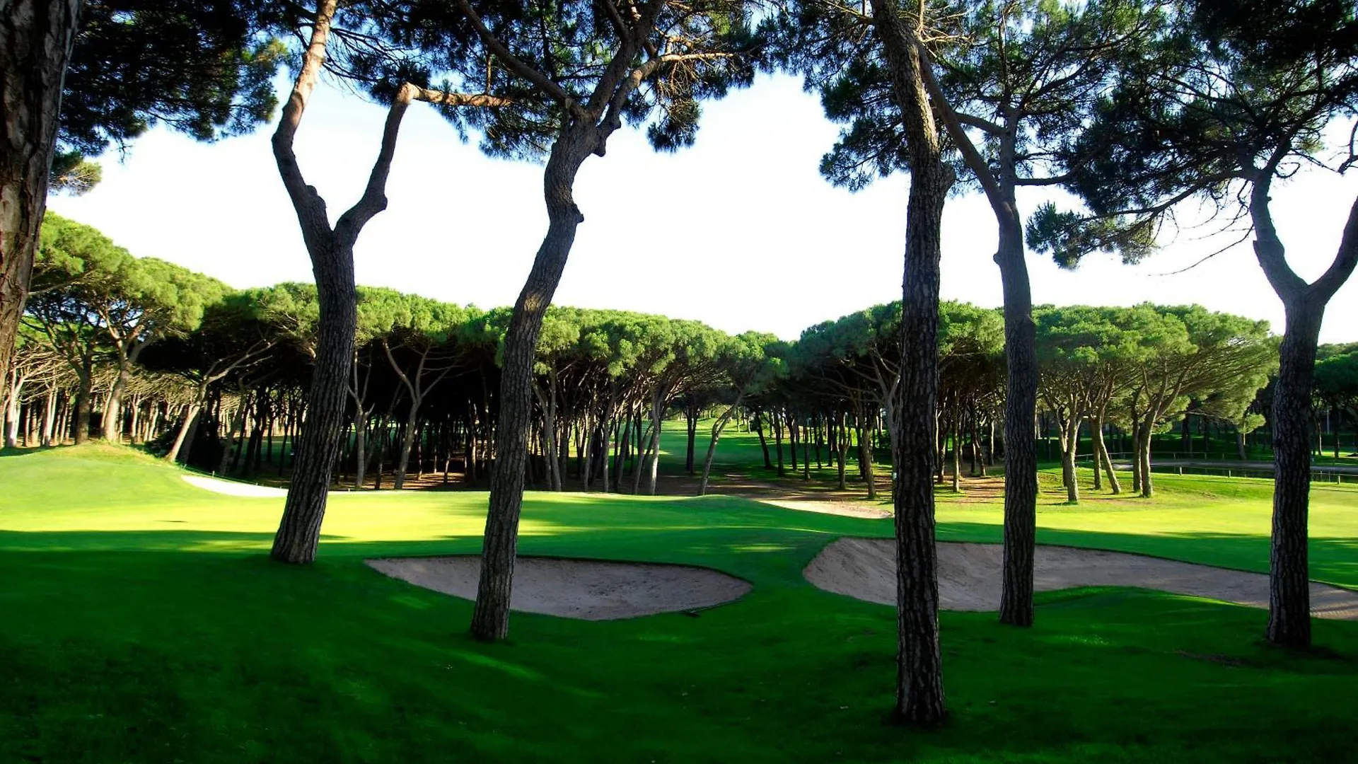 La Costa Hotel Golf & Beach Resort Pals